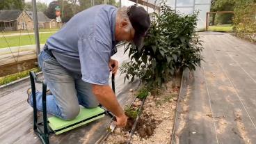 Lincoln University farm outreach worker David Middleton demonstrates the use of a kneeler for gardening.