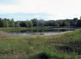 As a drought continues, pond waters can drop to dangerous levels, increasing aquatic plant growth, decreasing water quality and stressing fish, making them more vulnerable to disease and death. Photo by Bob Pierce, University of Missouri Extension.