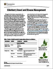 Cover art for publication IPM1037