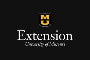 Extension logo