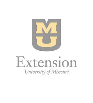 Extension logo