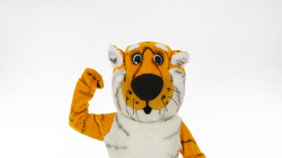 Truman the tiger